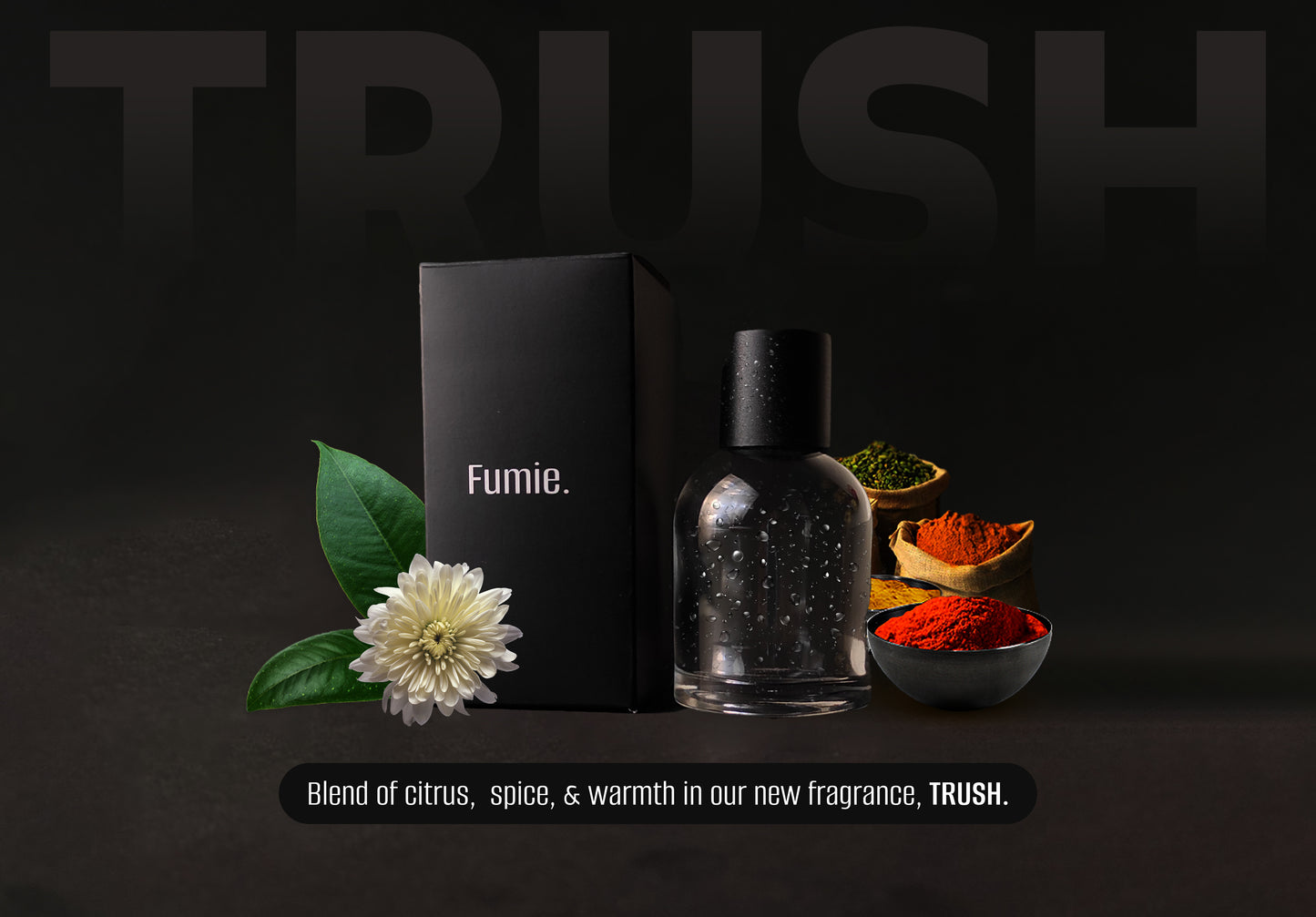 Trush - Discerning Gentleman | 50ml